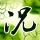 佩小姐的奇幻城堡